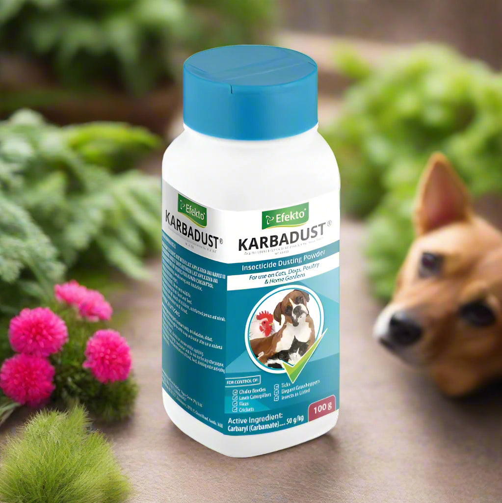 Karbadust 100g